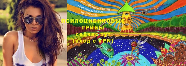 PSILOCYBIN Верхний Тагил