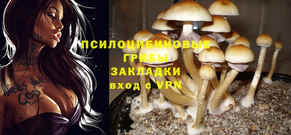 PSILOCYBIN Верхний Тагил