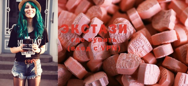 стаф Надым