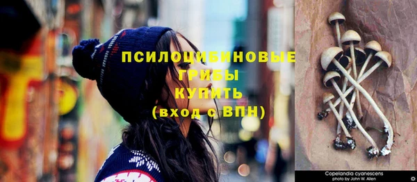 бошки Михайловск