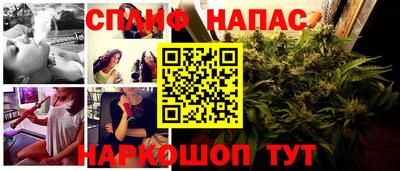 сатива Апрелевка