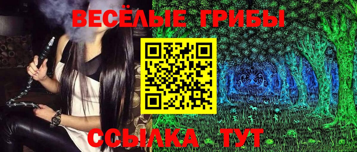 Галлюциногенные грибы прущие грибы  Вход с VPN  Галлюциногенные грибы мицелий  Белореченск 