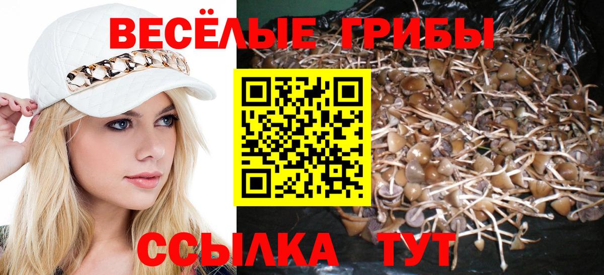 Галлюциногенные грибы Cubensis Белореченск