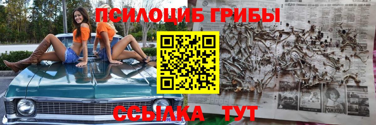 магазин продажи   Белореченск  Галлюциногенные грибы Psilocybine cubensis 
